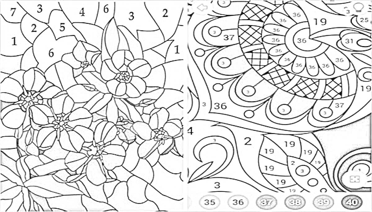 Раскраска Раскраска по номерам: цветы и абстрактный орнамент