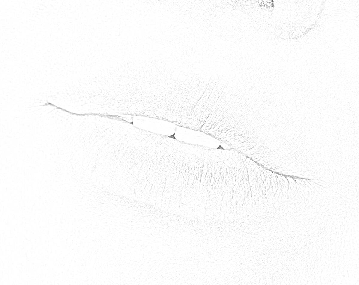 Раскраска Изображение пухлых и красивых губ без помады, черно-белое фото