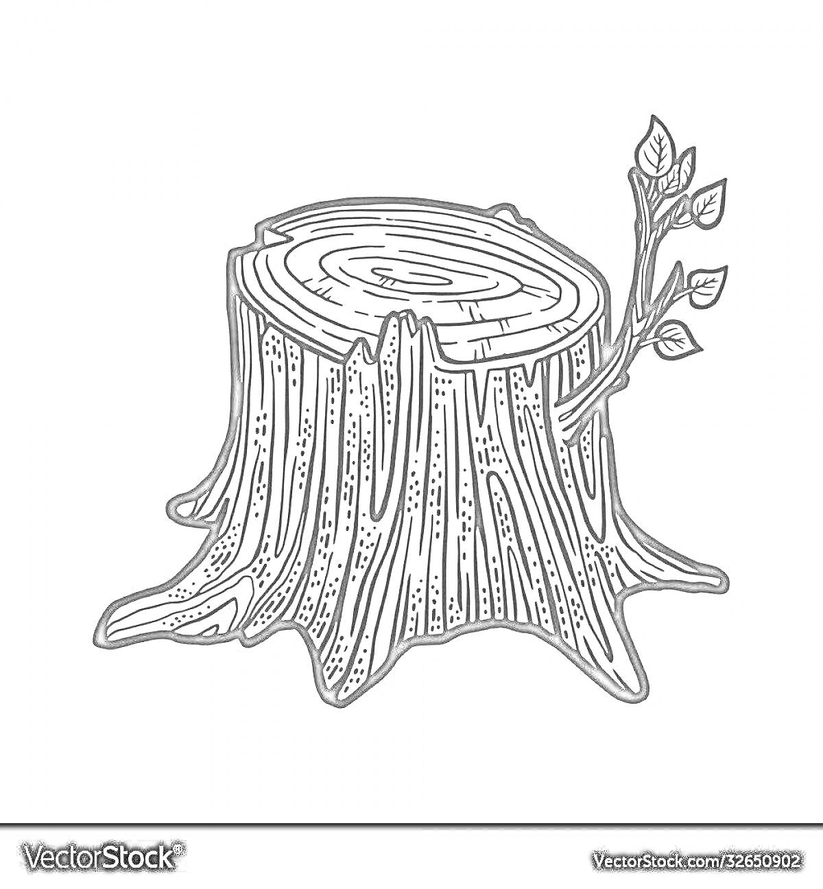 РаскраскаПенек с веточкой и листьями