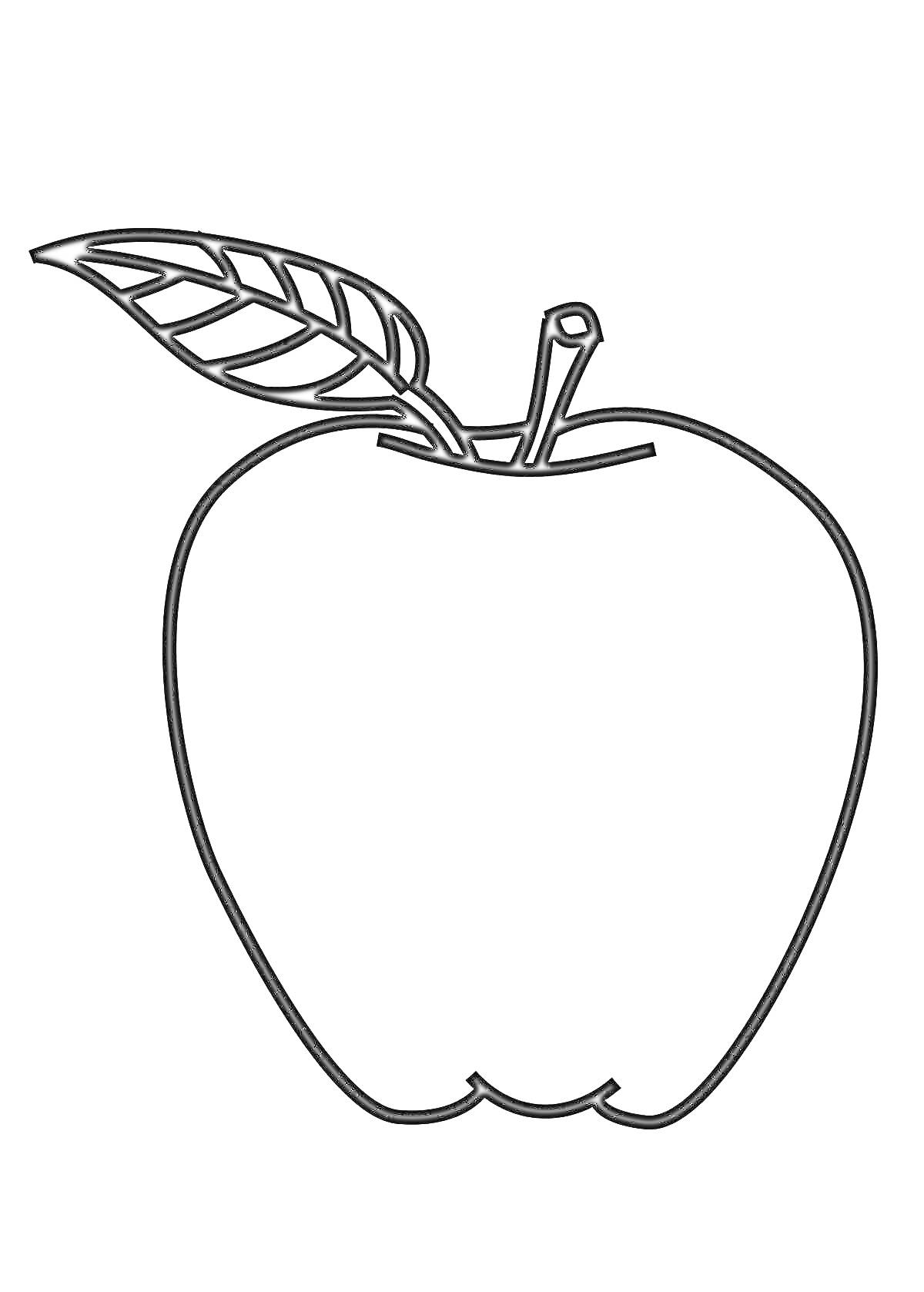 Раскраска Яблоко с черешком и листом