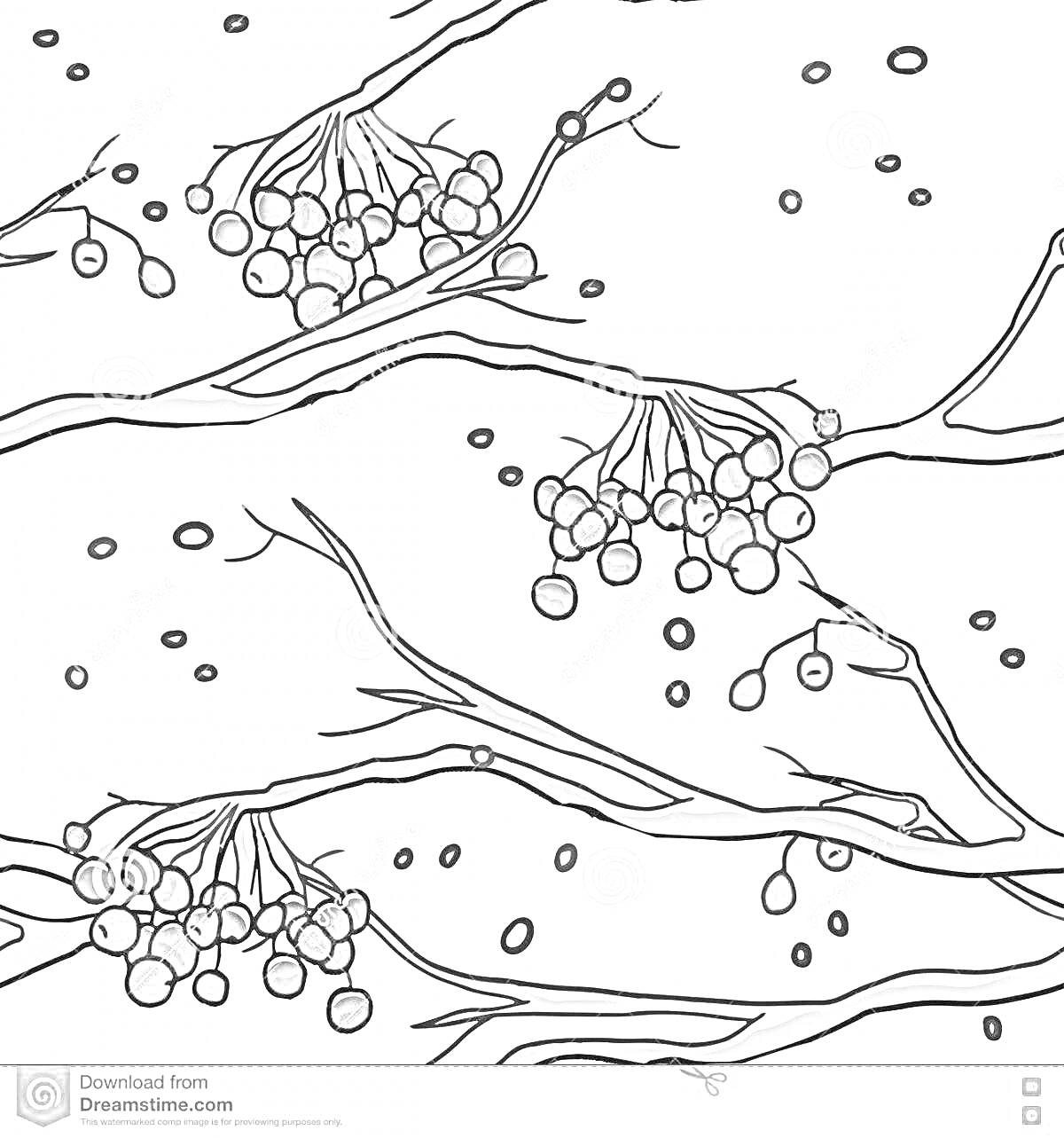 РаскраскаВетка рябины зимой с гроздьями ягод и маленькими снежинками