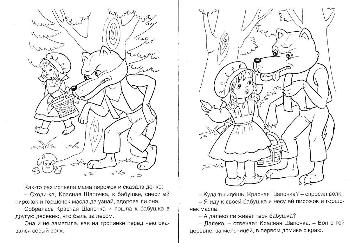 Раскраска Красная Шапочка и Волк встречаются в лесу, Волк выходит из-за дерева