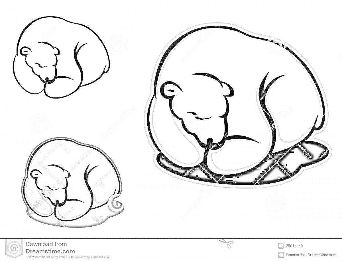 Раскраска Три медведя спящих в берлоге: один контурный, один белый, один черный