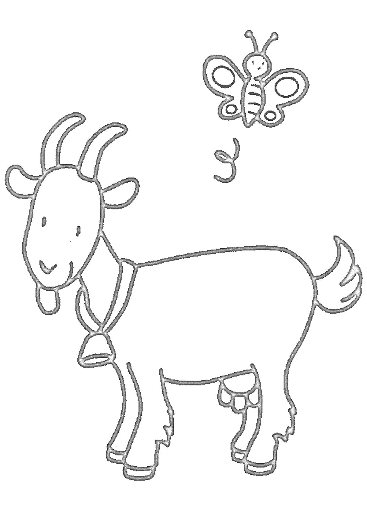 Раскраска Коза с колокольчиком и бабочкой -