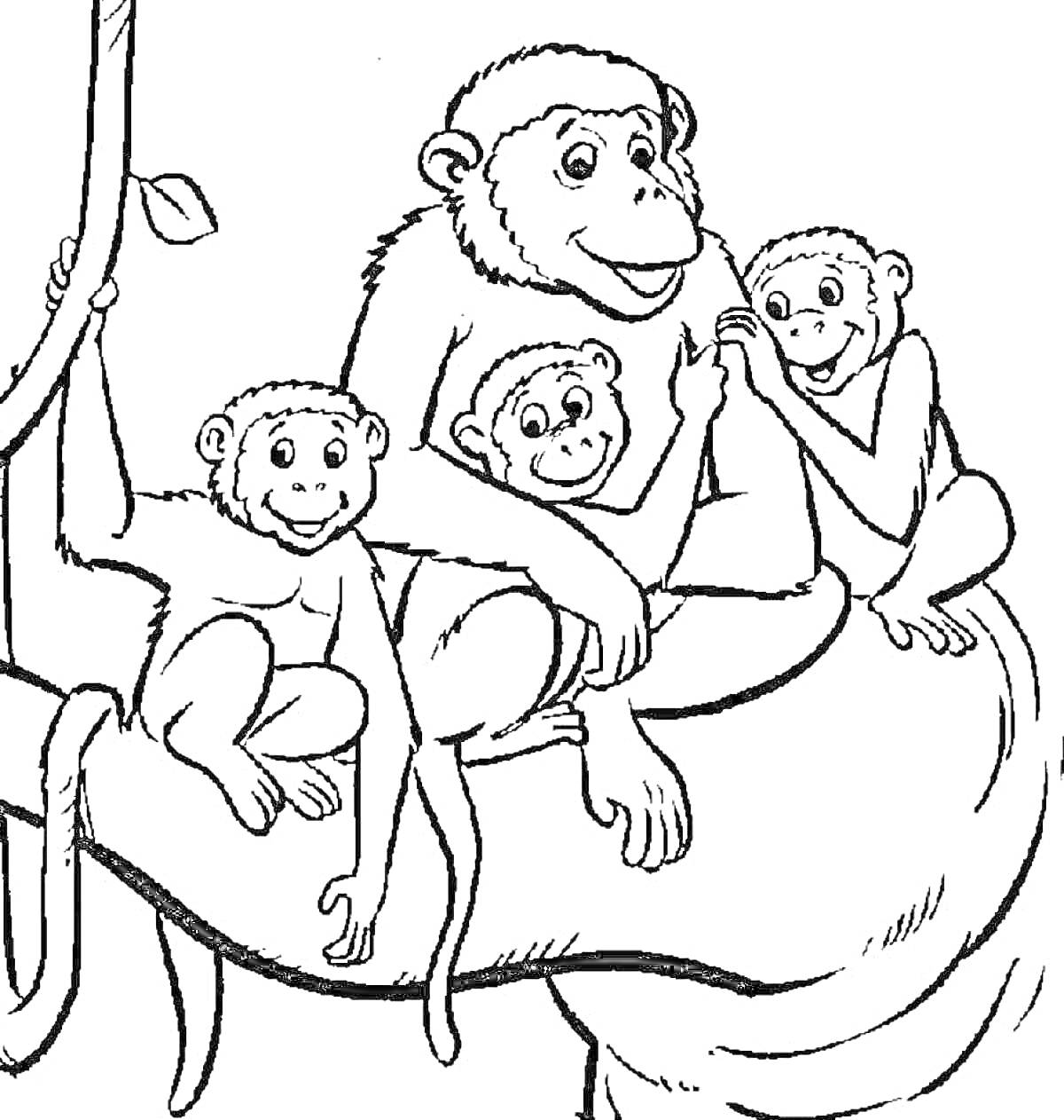 Раскраска Семья обезьянок на ветке дерева