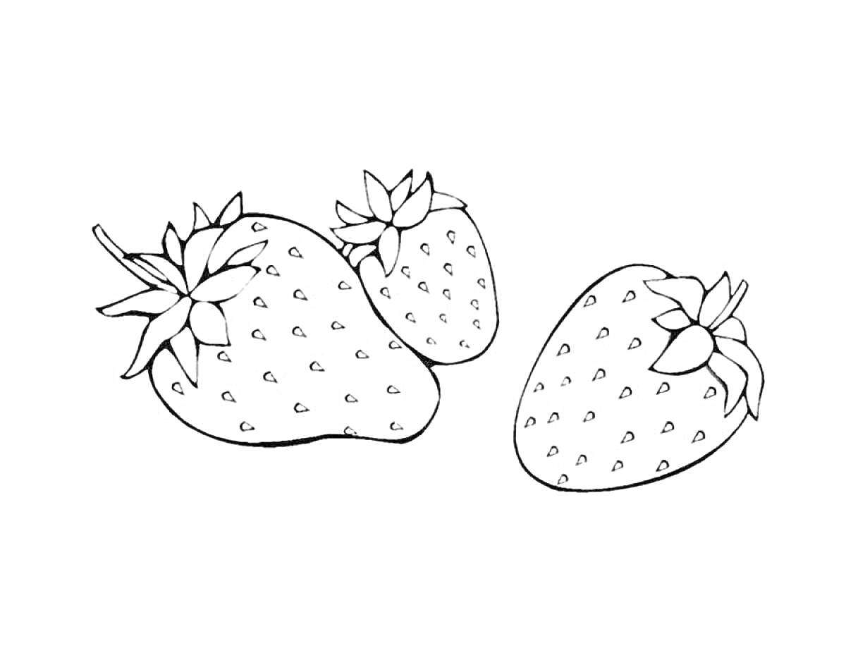 Раскраска Три ягоды земляники с листьями
