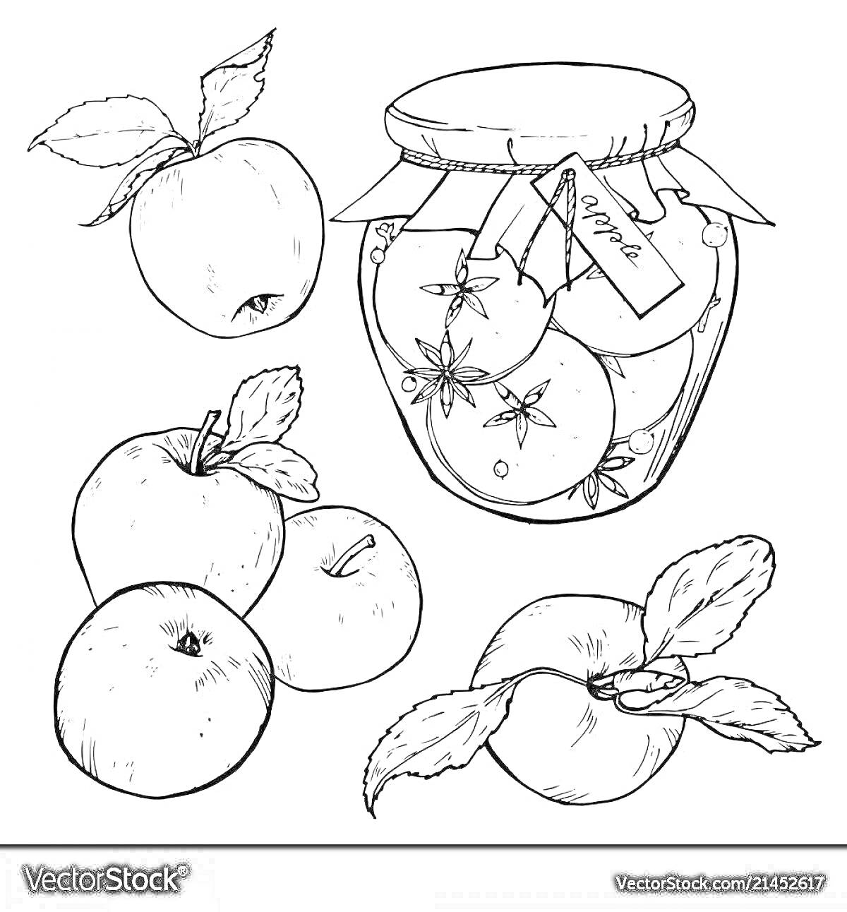Раскраска Банка с компотом из яблок, яблоки