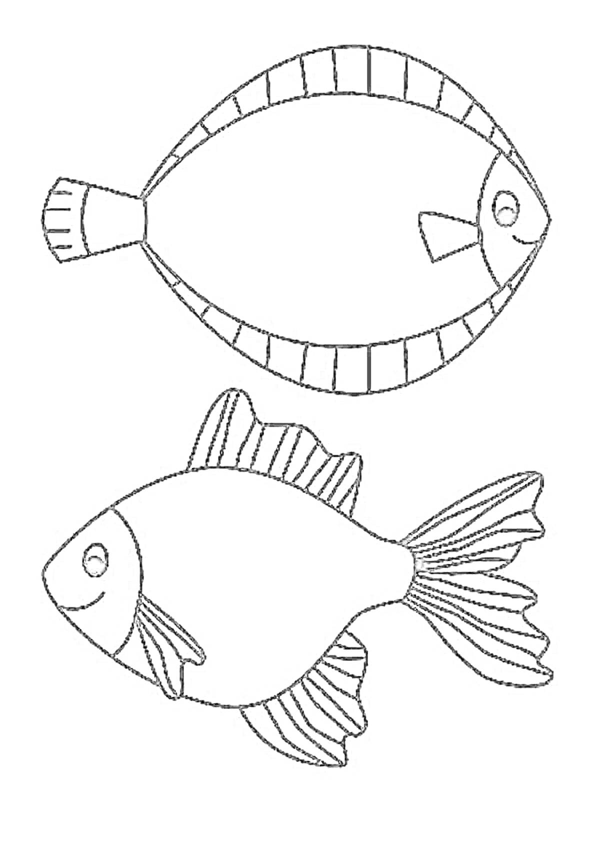 Раскраска Раскраска с двумя рыбами, одна с узором на хвосте, другая с ребристым верхом и плавником