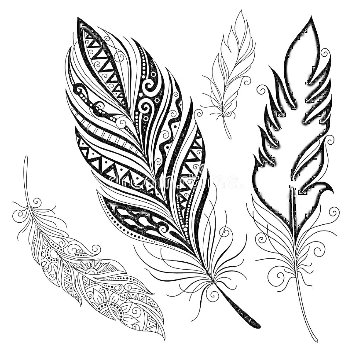 Раскраска Перья с декоративными узорами, 5 элементов
