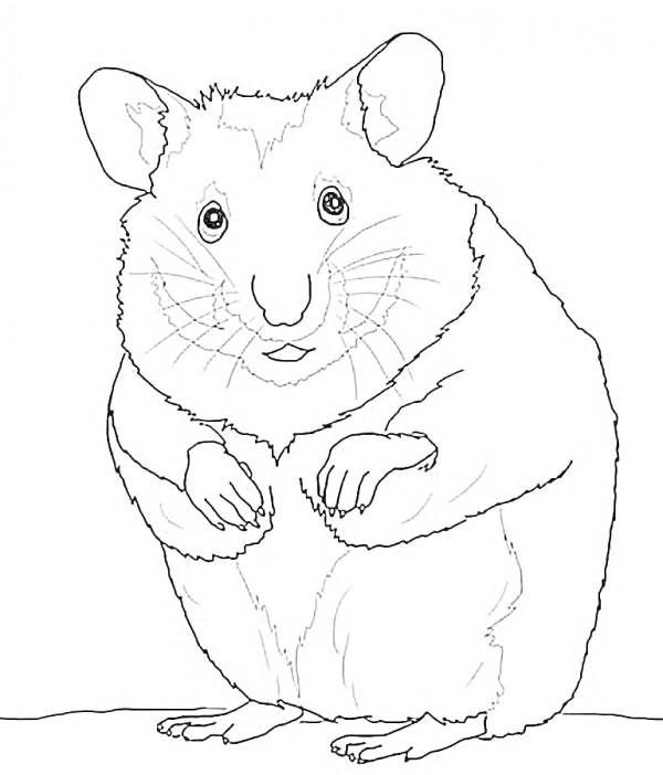 373