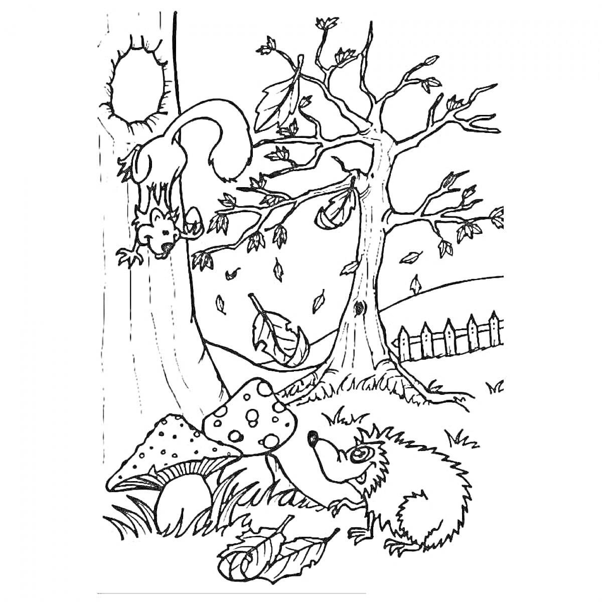 Раскраска Белка и ежик в осеннем лесу возле дерева с грибами и забором