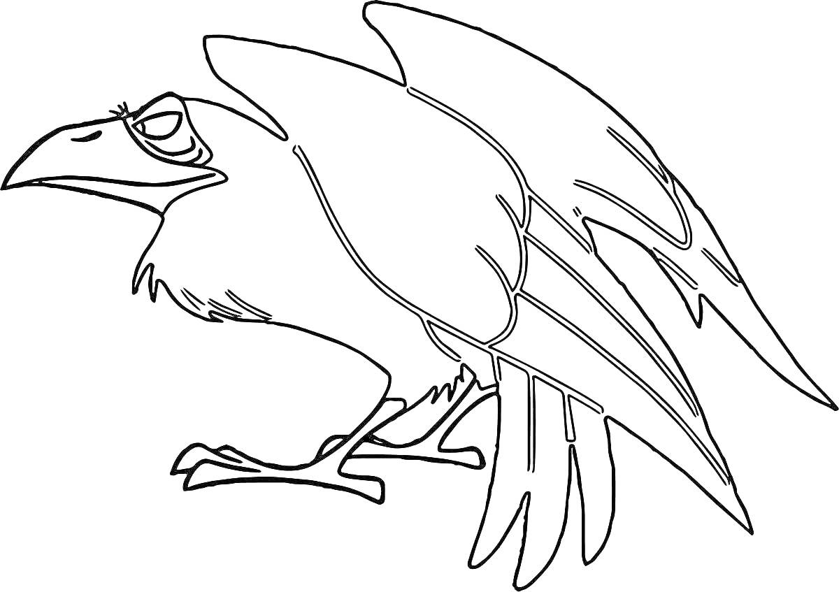 Раскраска Ворона в профиль с расправленными крыльями