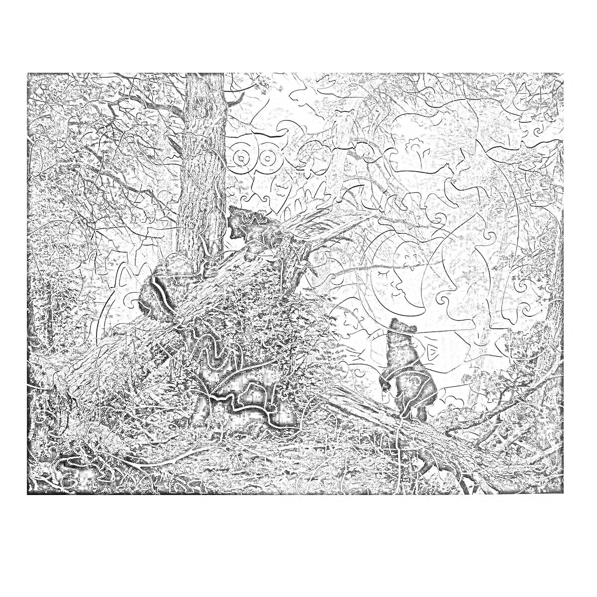 Раскраска Утро в сосновом лесу - три медвежонка играют на упавшем дереве среди высоких сосен