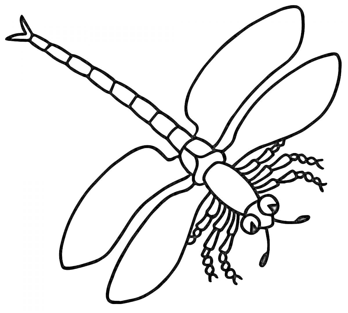 Раскраска Стрекоза с четырьмя крыльями и большими глазами на белом фоне для раскраски
