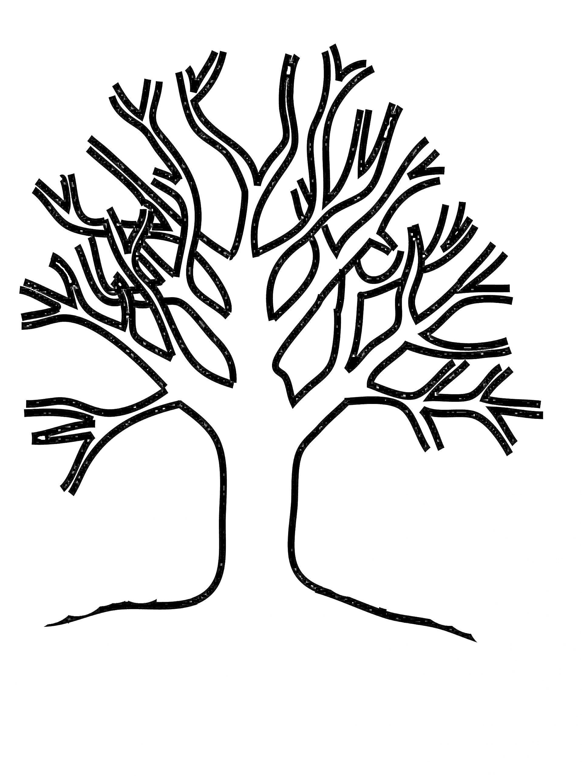 Раскраска Дерево без листьев с ветвями