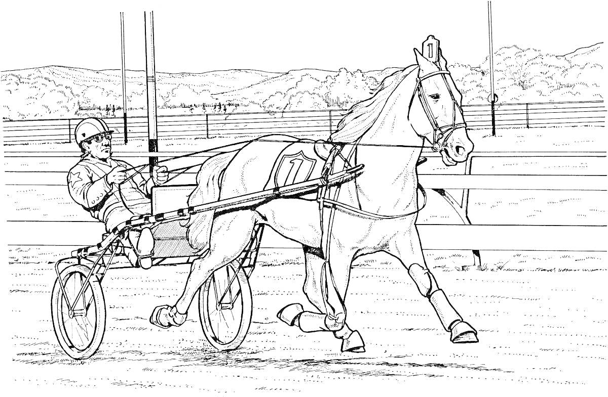 Раскраска Скачки на сабантуе с наездником на двухколесной повозке и лошадью