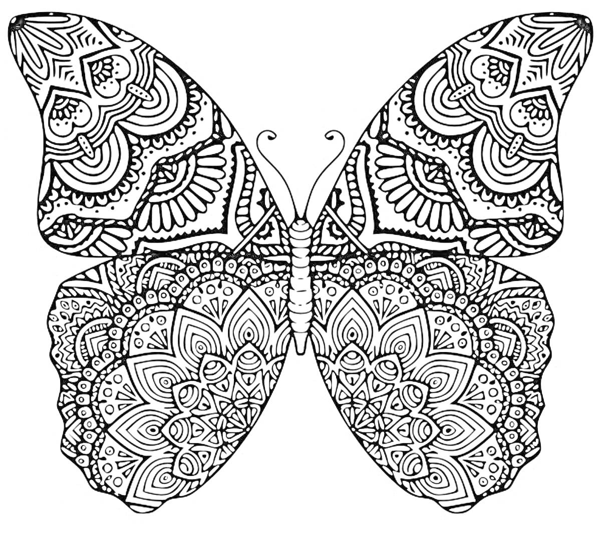 На раскраске изображено: Бабочка, Сложные узоры, Крылья, Детализировано, Арт