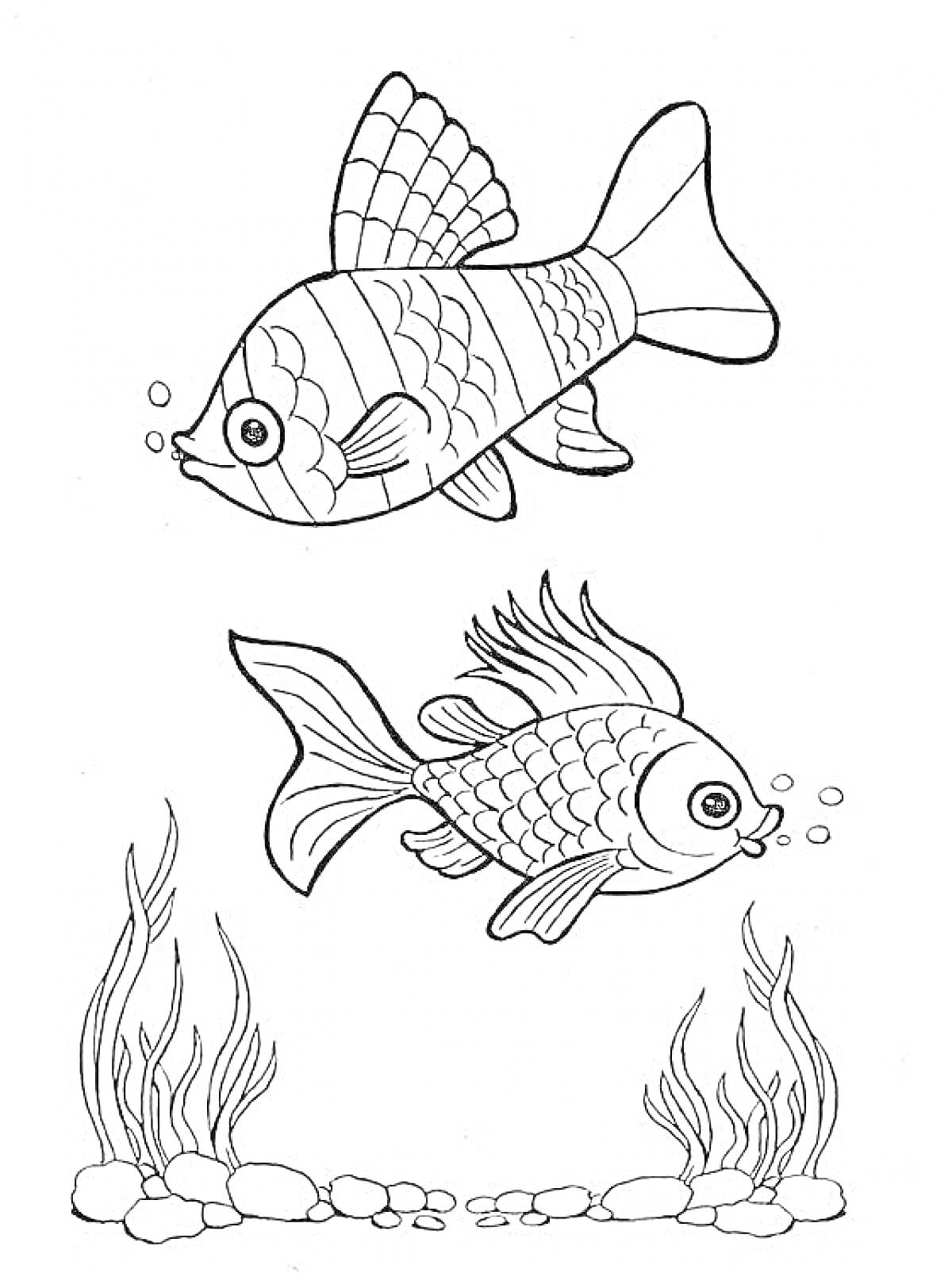 Раскраска Две аквариумные рыбки с растениями и камнями