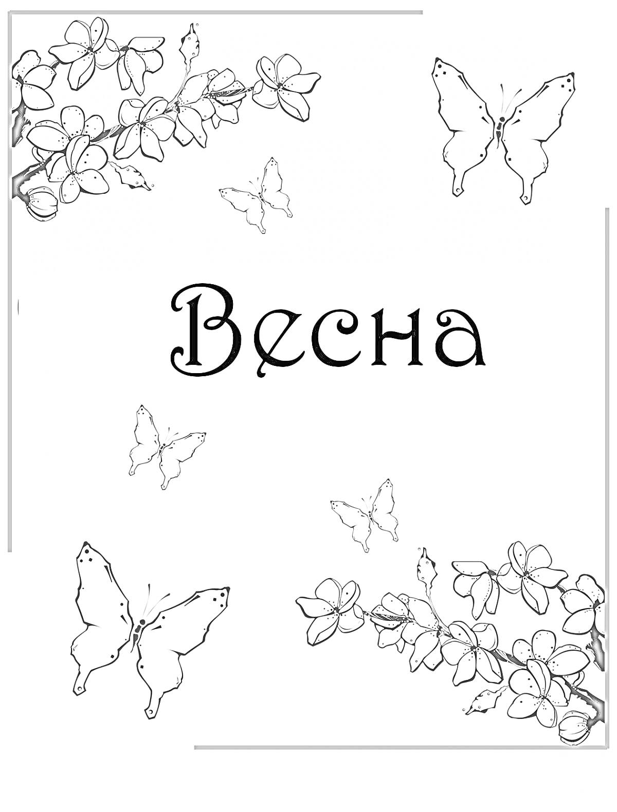 Раскраска Весна, ветви цветущих деревьев, бабочки