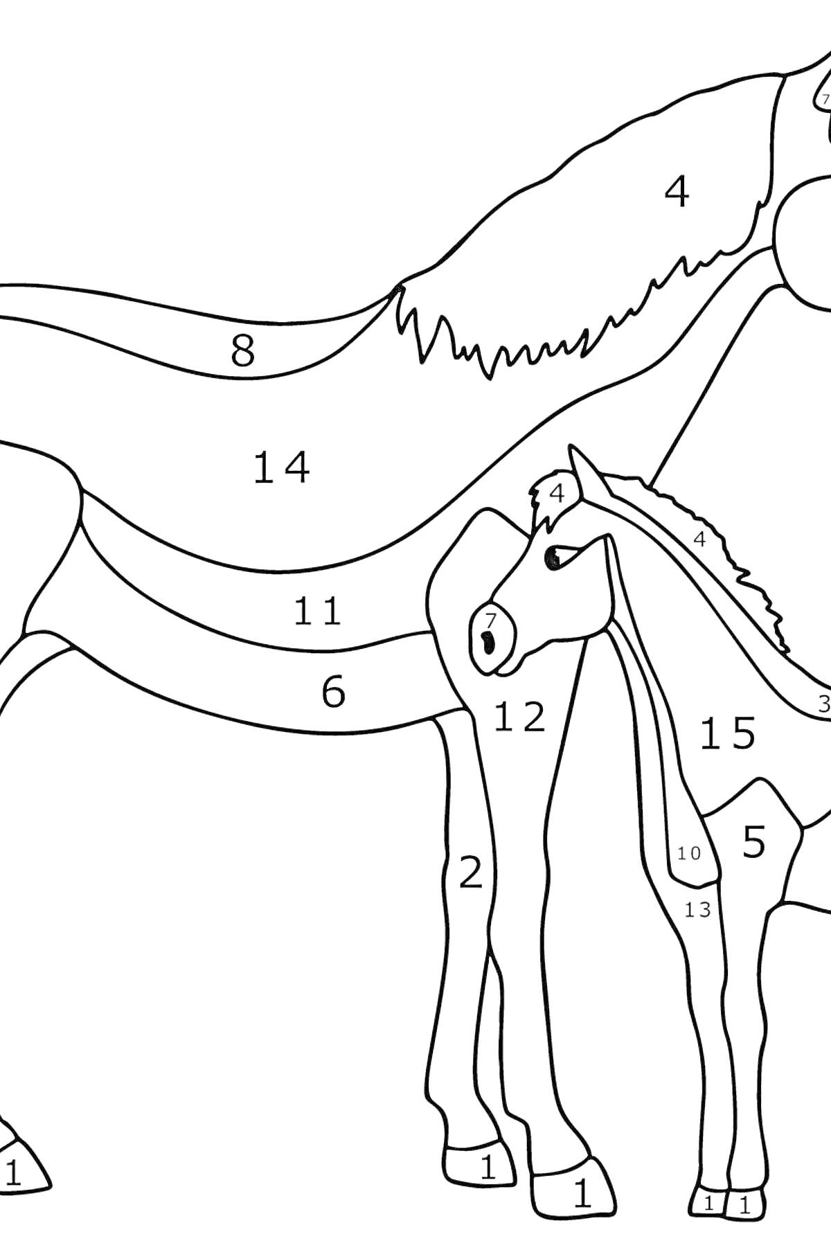 Раскраска Лошадь с жеребенком по номерам для раскрашивания