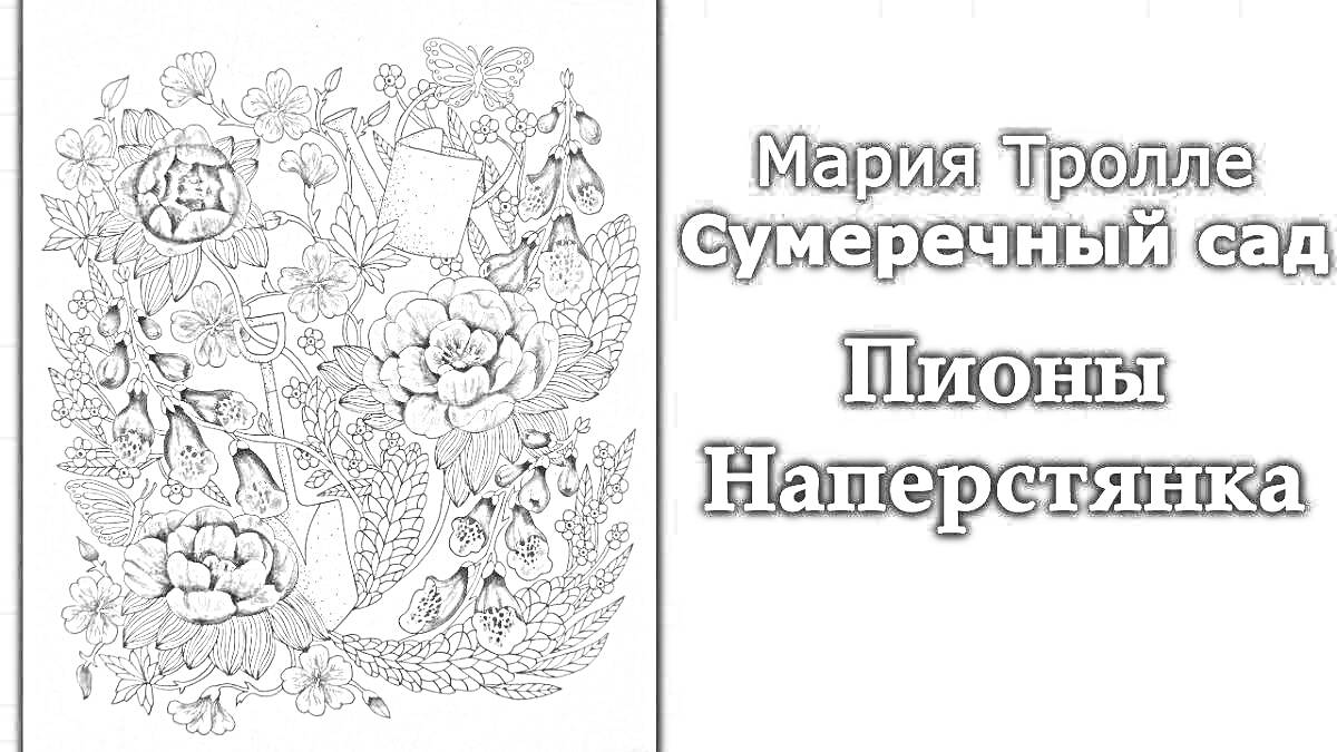 На раскраске изображено: Пионы, Цветы, Природа, Ботаника, Мария Тролле