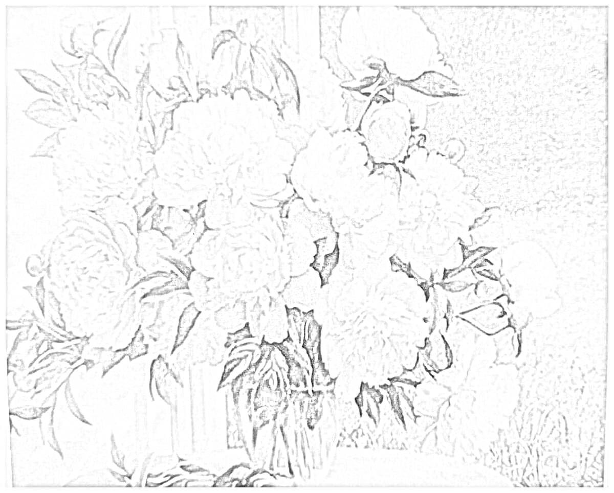 На раскраске изображено: Пионы, Цветы, Ваза, Сад, Ограда
