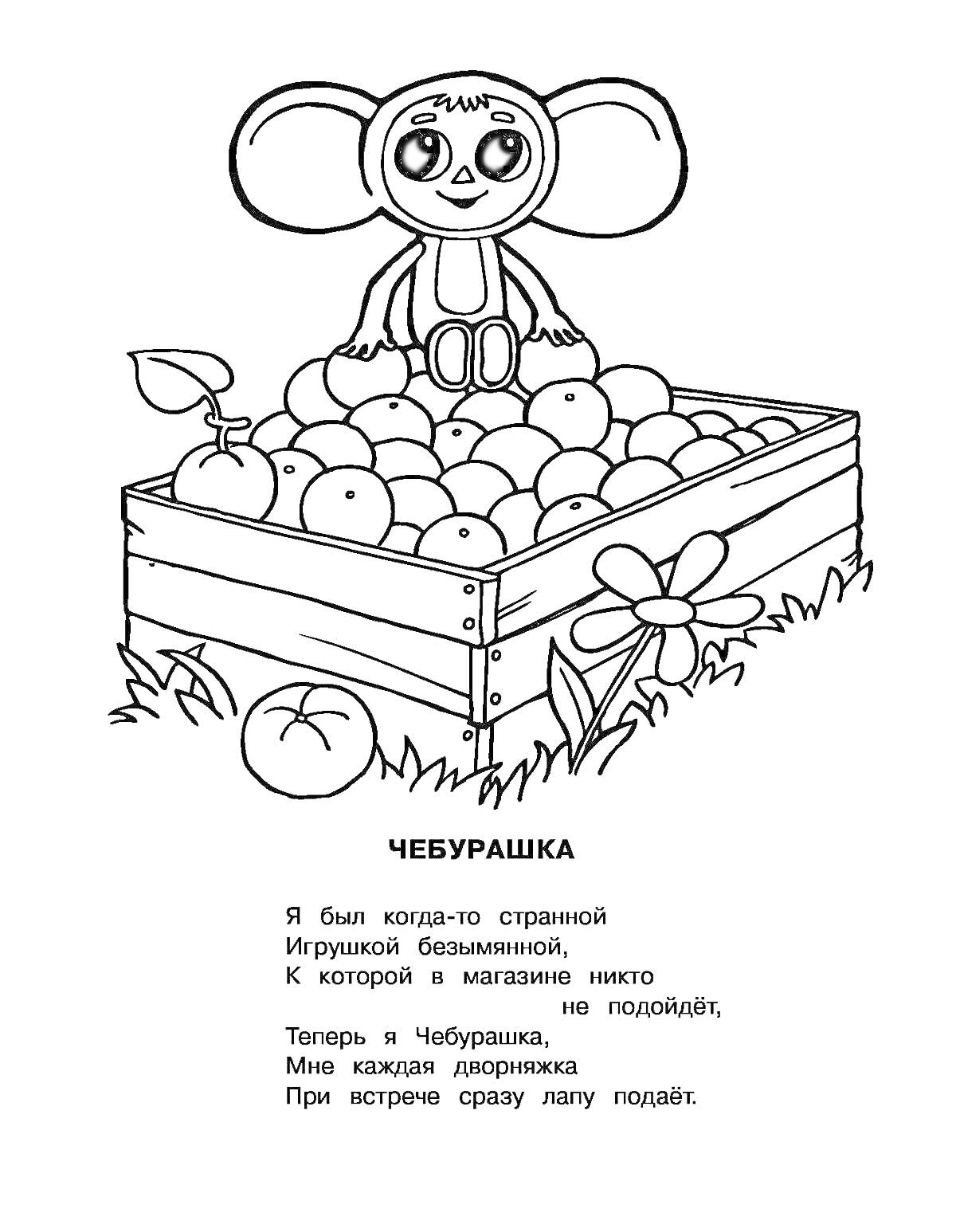 Раскраска Чебурашка сидит на ящике с апельсинами, цветок и трава вокруг, стихотворение о Чебурашке