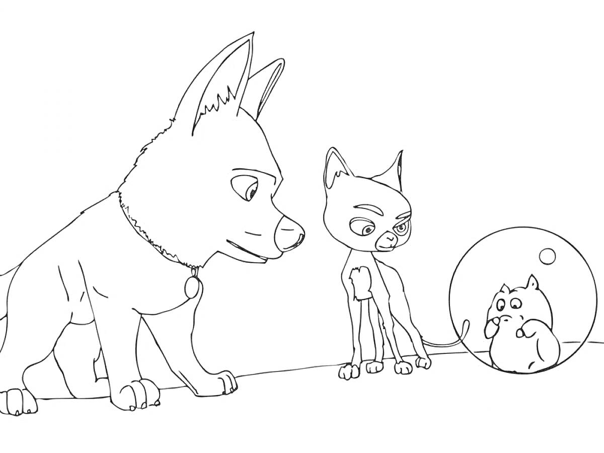 На раскраске изображено: Собака, Хомяк, Домашние животные