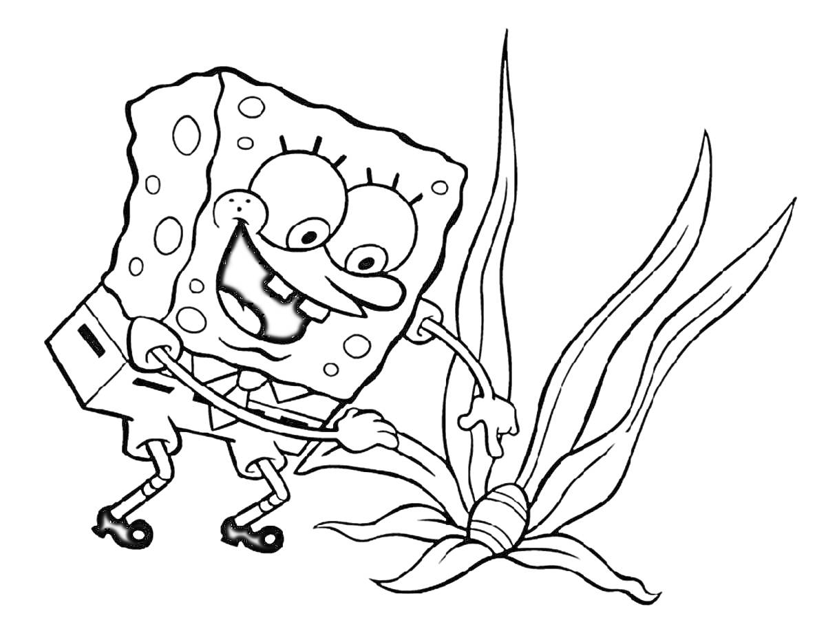 Раскраска Губка Боб играет с морским растением