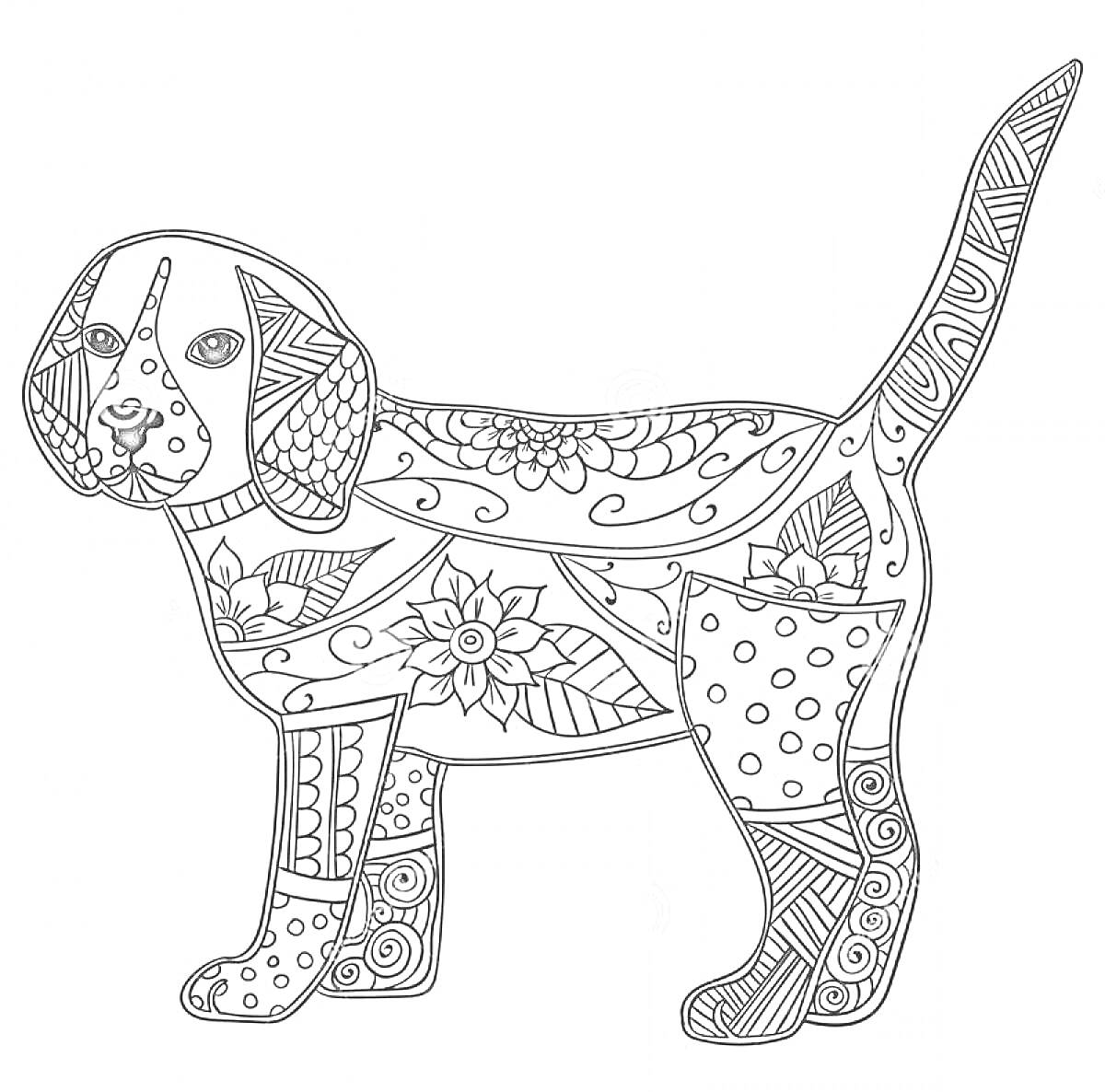 Раскраска антистресс с изображением собаки, украшенной цветочными и геометрическими узорами