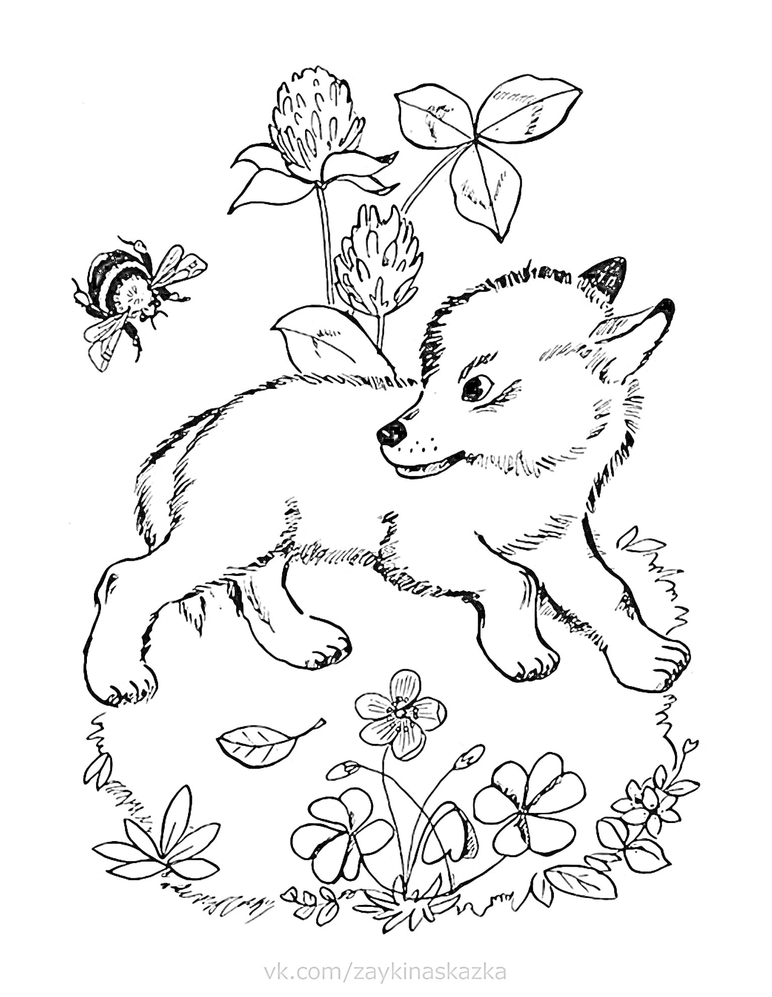 На раскраске изображено: Волчонок, Цветы, Клевер, Листья, Бабочка, Природа, Животные