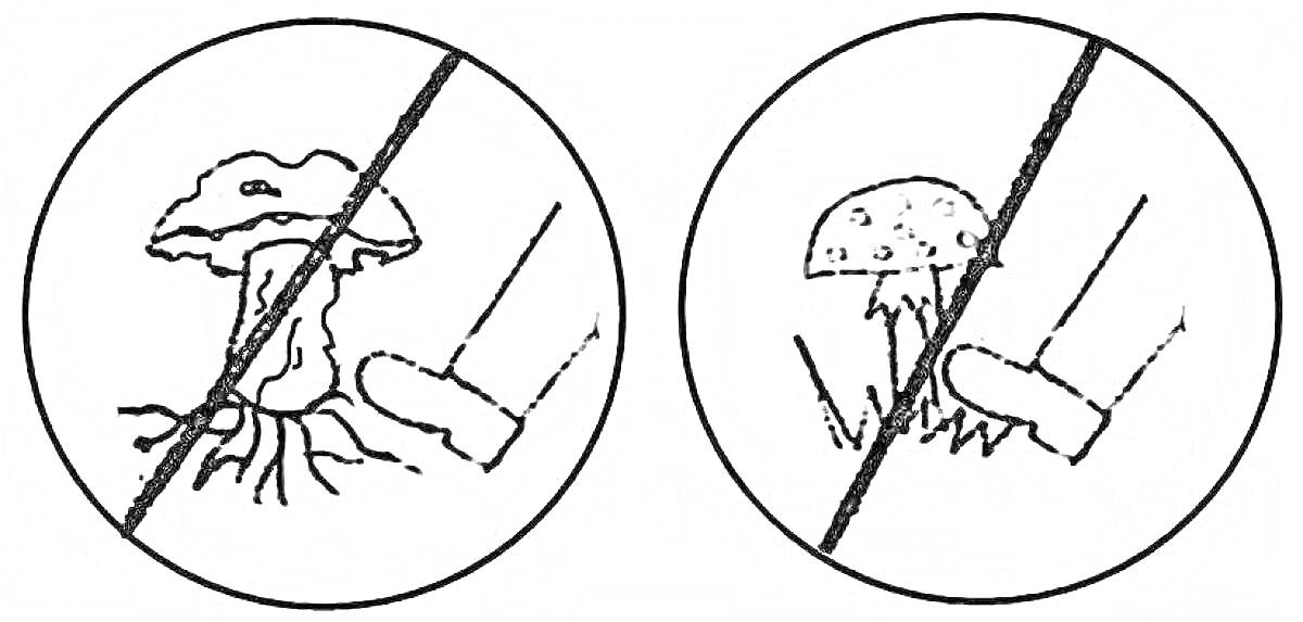 Раскраска Знак запрета - не ломать грибы и не топтать грибы