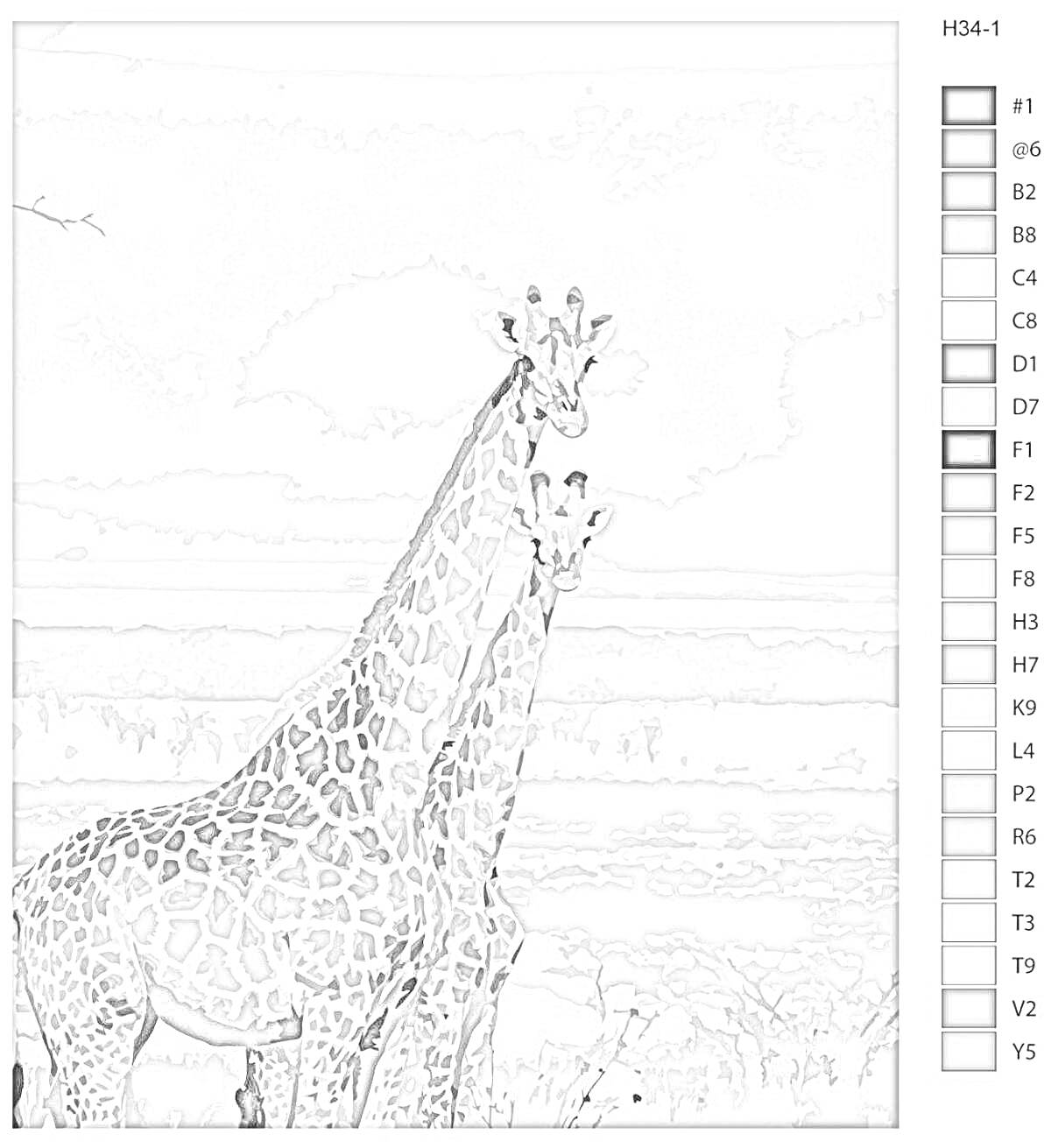 На раскраске изображено: По номерам, Жирафы, Задания, Животные
