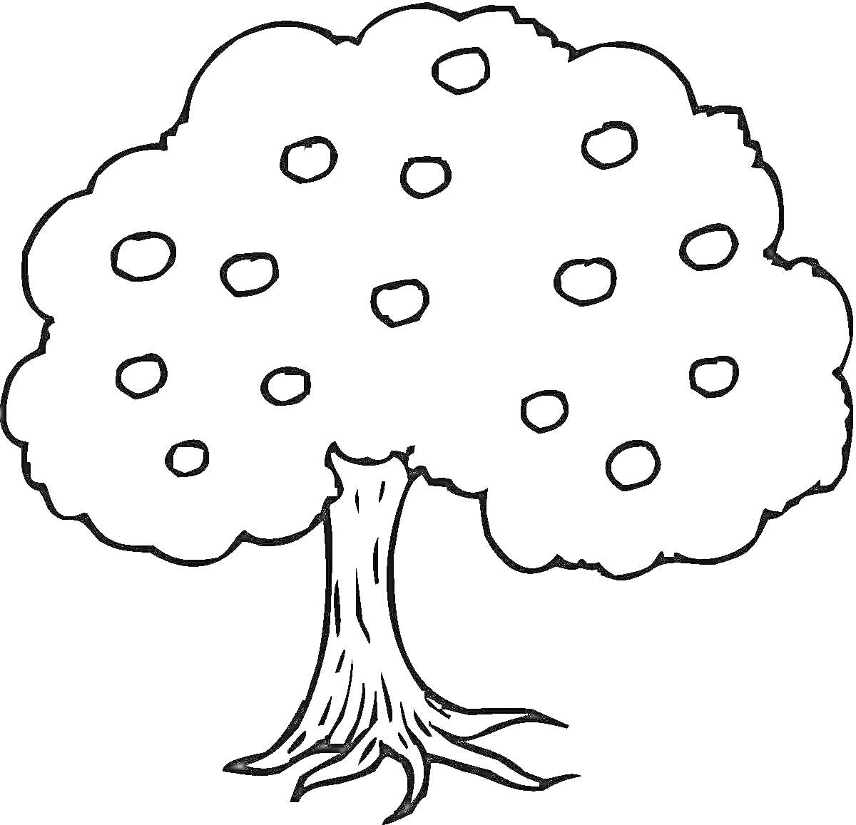 На раскраске изображено: Плоды, Листья, Ствол, Корни, Деревья, Растения