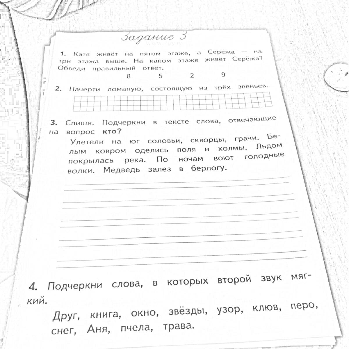 Раскраска Задание 3. Как зовут мальчика на этом снимке. Сосчитай количество слогов в словах. Подчеркни слова, в которых второй звук мягкий.