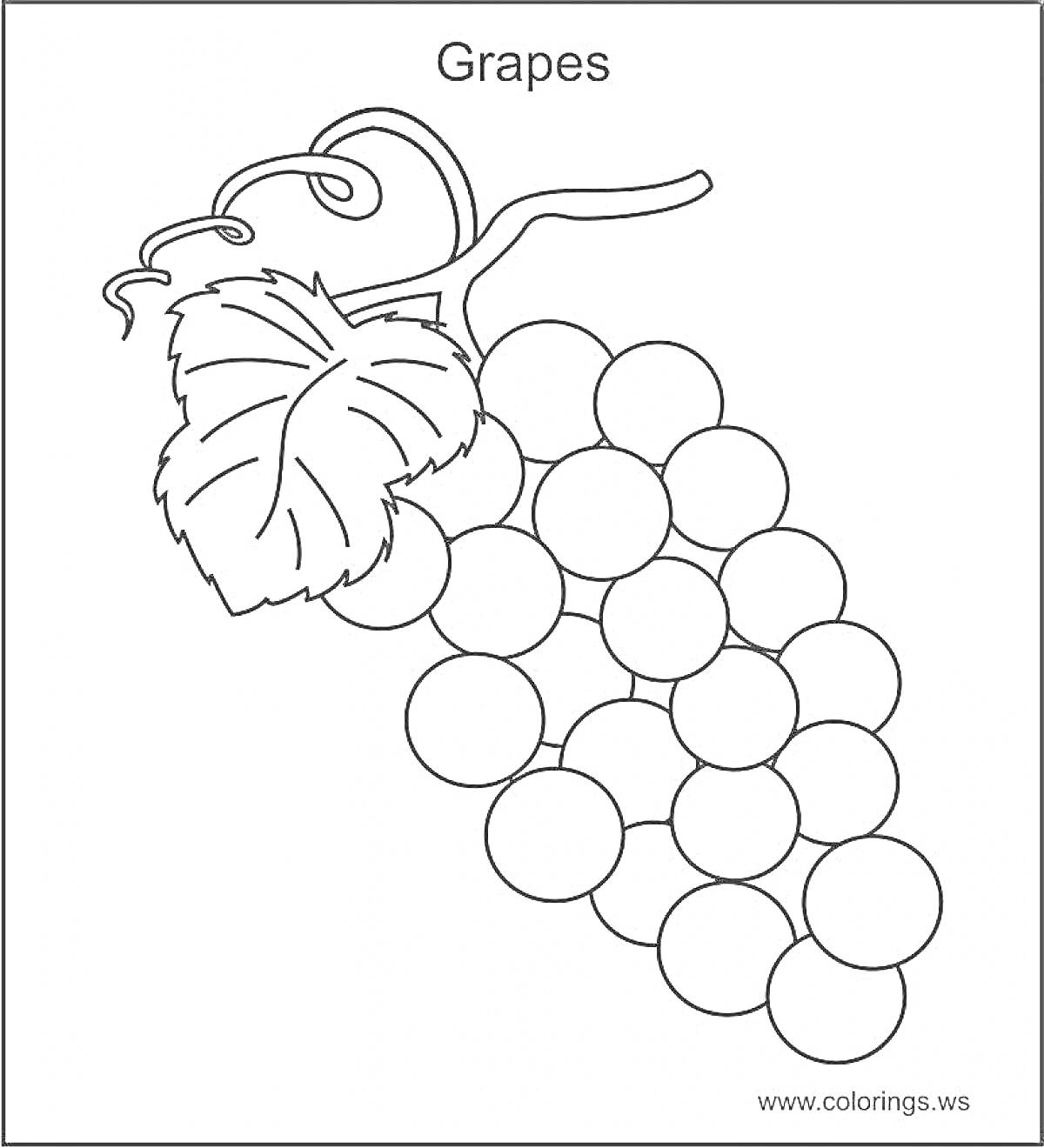 На раскраске изображено: Виноград, Гроздь винограда