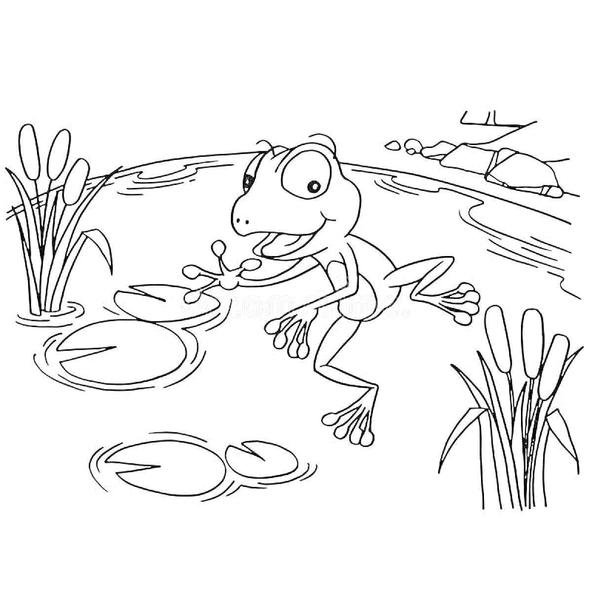 Раскраска Лягушка у пруда с камышами и кувшинками