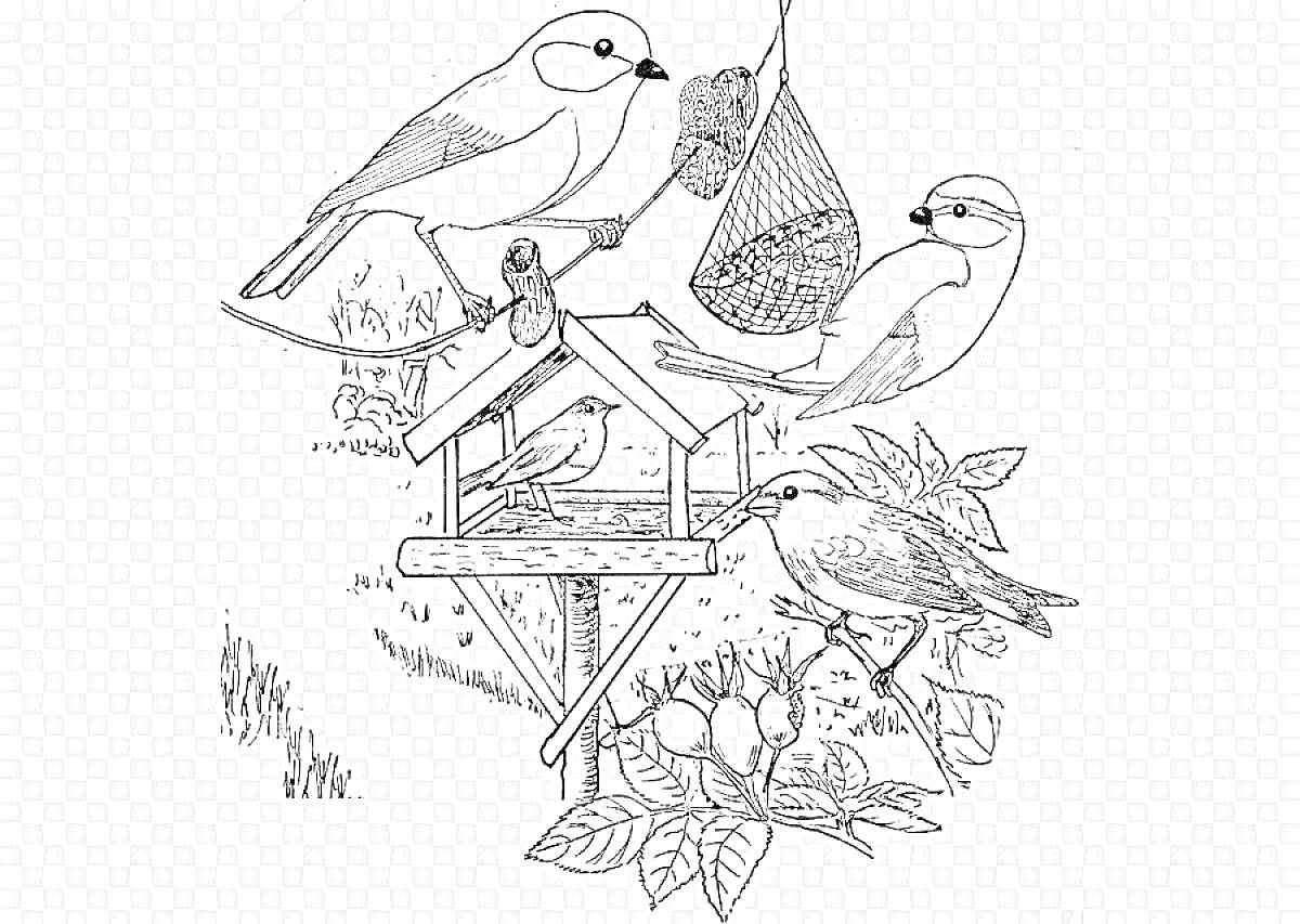 Птичья кормушка с несколькими птицами на дереве и кустами на фоне