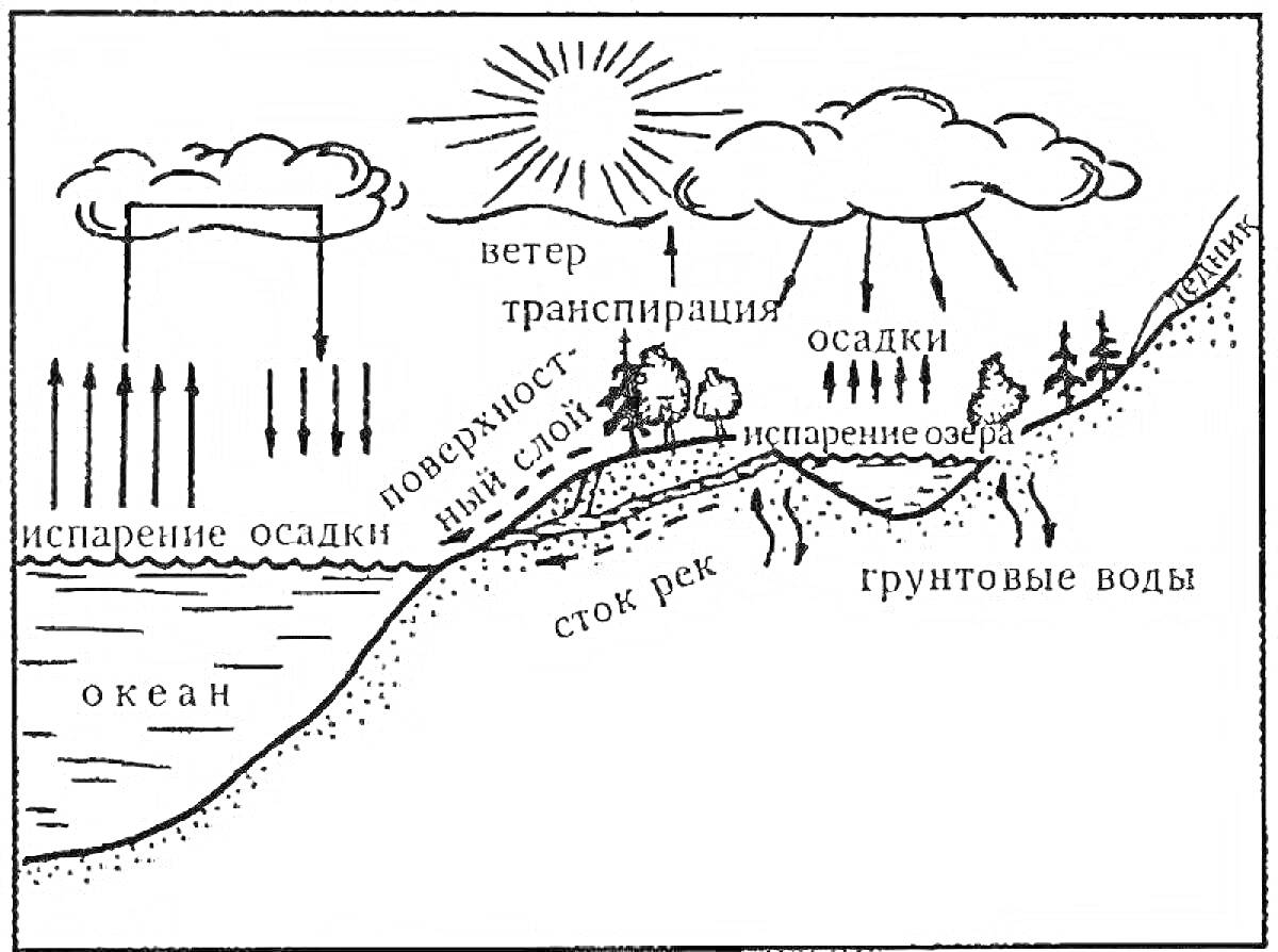 Раскраска круговорот воды в природе - океан, испарение осадков, поверхность земли, почвенный слой, сток рек, грунтовые воды, испарение с озера, осадки, транспирация, ветер, облака, солнце, деревья