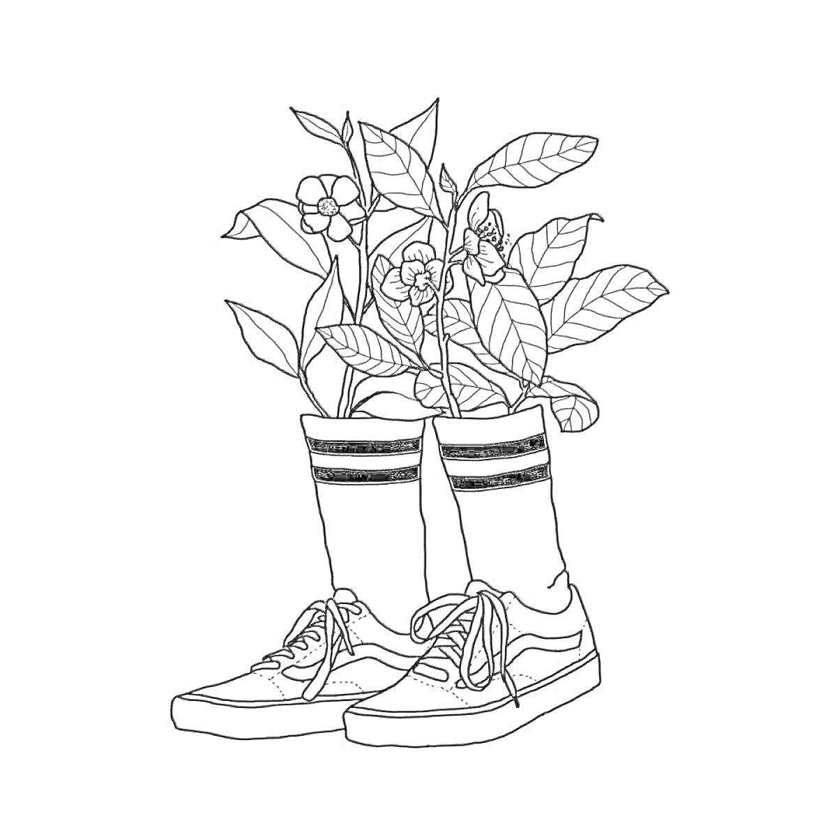 На раскраске изображено: Ботинки, Кеды, Растения, Цветы, Эстетика, Линии