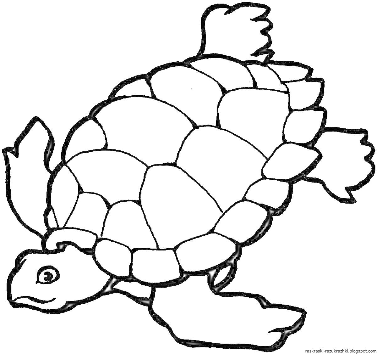Раскраска Черепаха с панцирем и конечностями, плавающая в воде