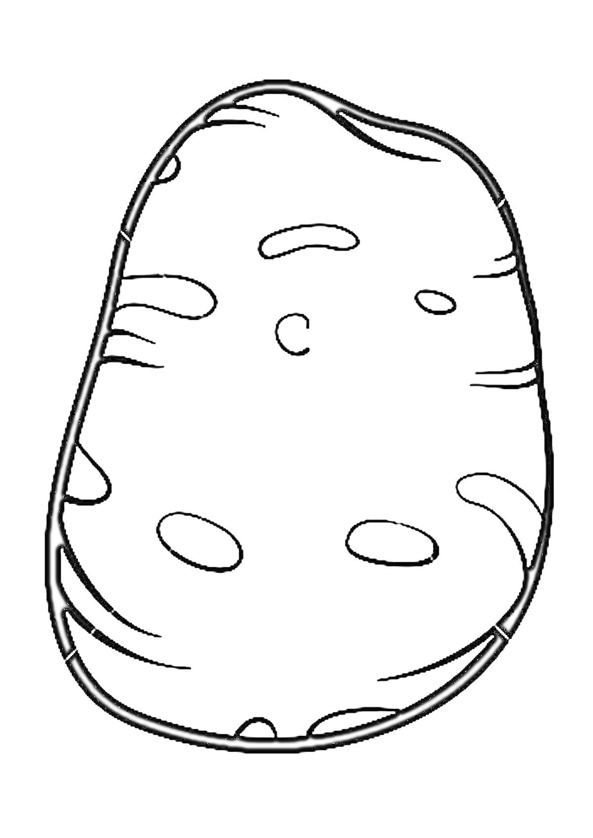 Раскраска Картошка. Один цельный клубень картофеля с небольшими отметинами.