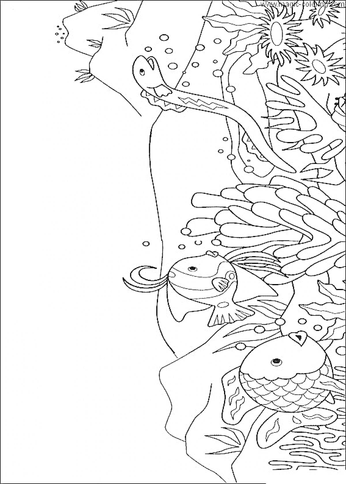 На раскраске изображено: Море, Кораллы, Подводный мир, Растения, Морская жизнь, Рыба