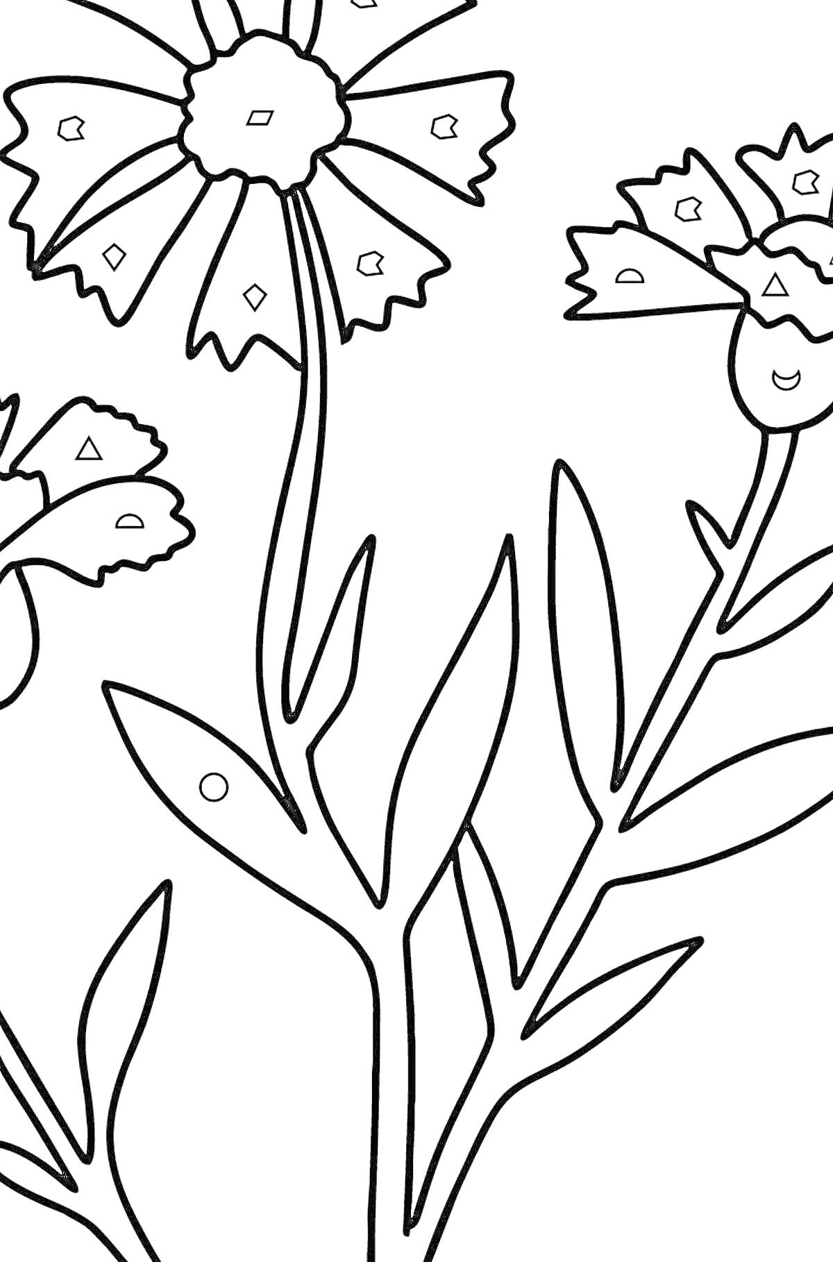 Раскраска Васильки с листьями и стеблями, три цветка