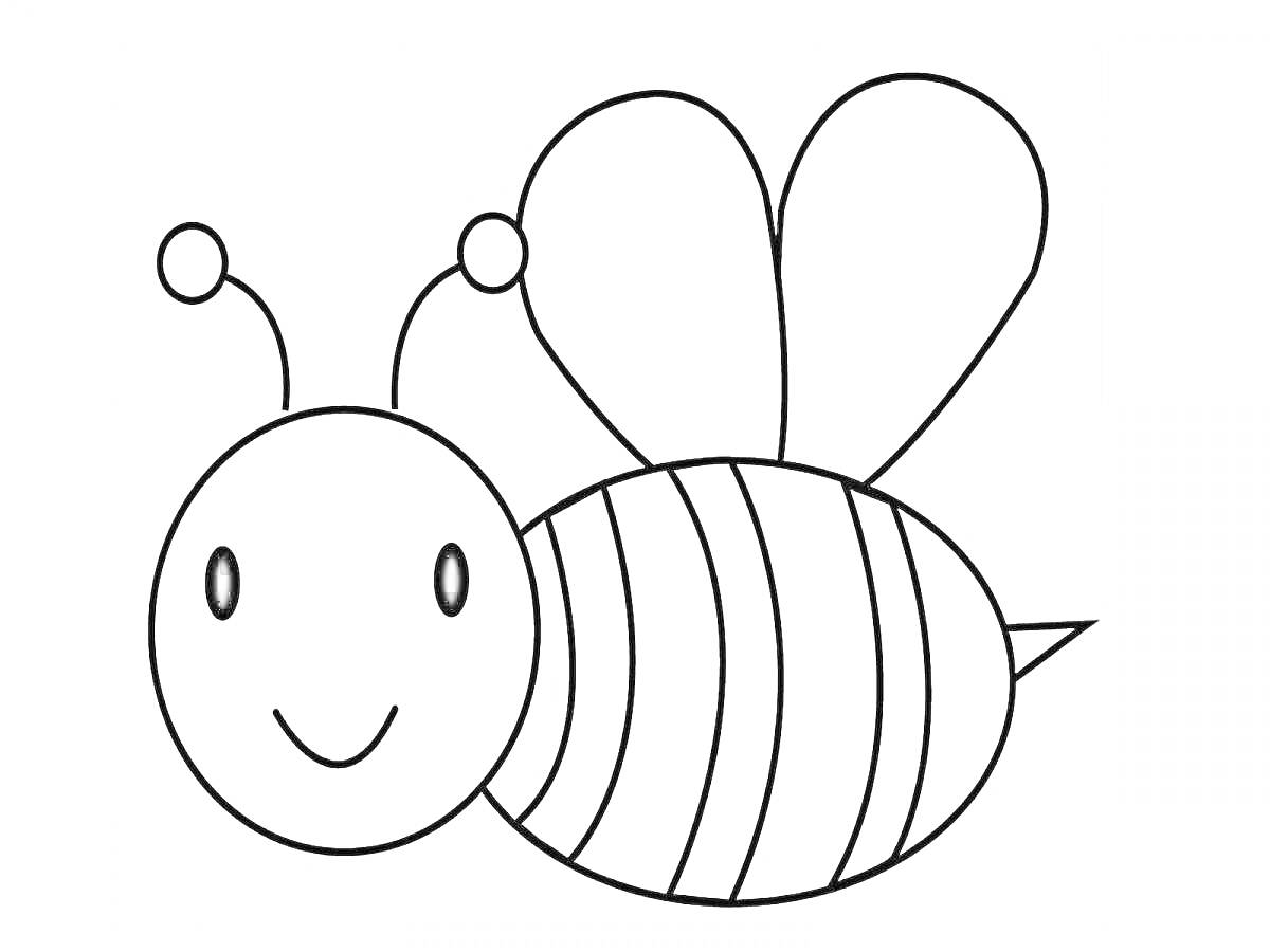 Раскраска Пчела с двумя крыльями, усиками и улыбающимся лицом