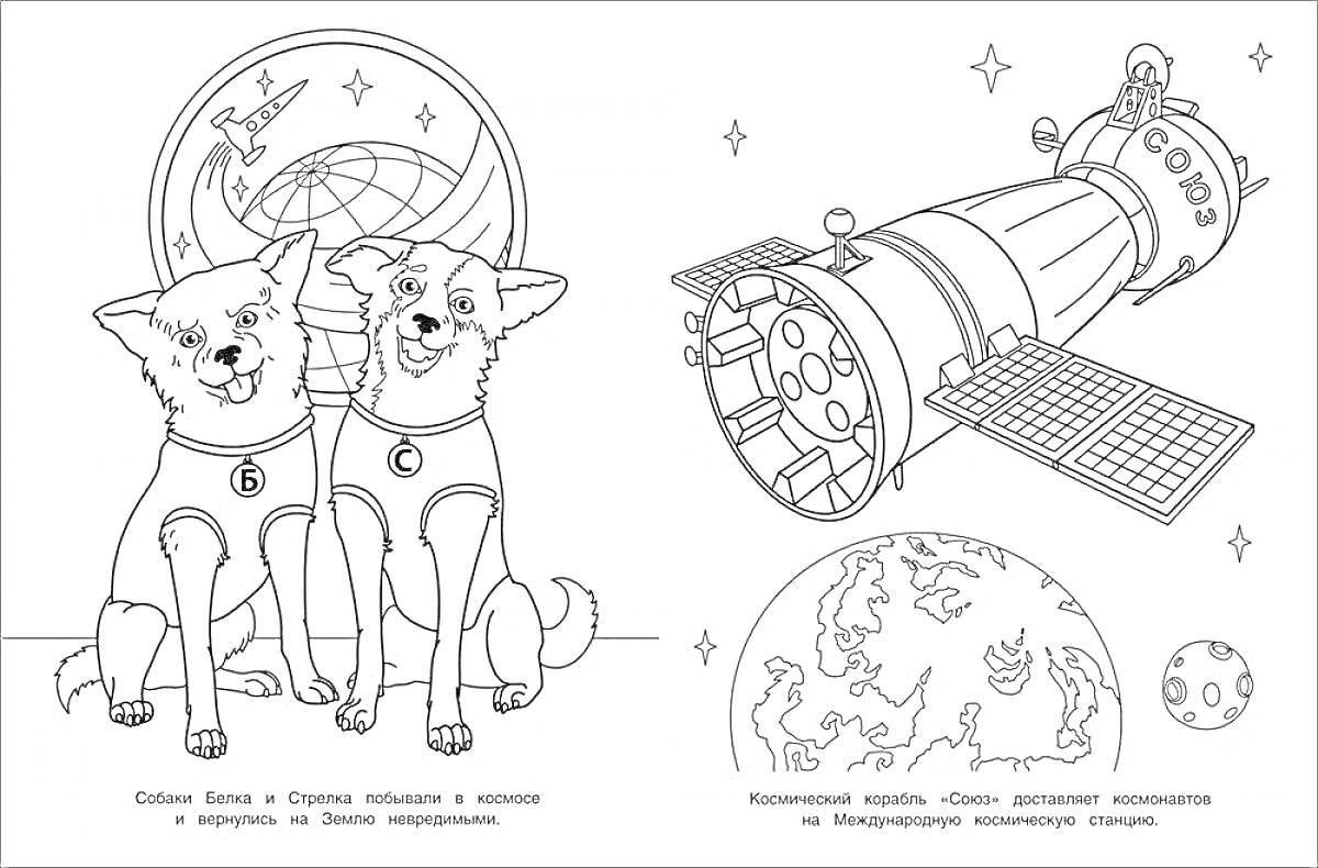 На раскраске изображено: Белка, Космос, Союз, Земной шар, Звезды, Ракета