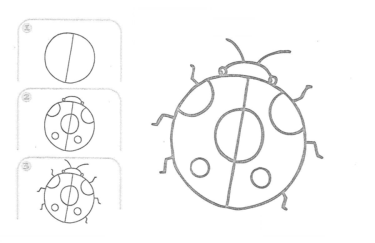 Раскраска Божья коровка с пошаговым рисунком в три этапа