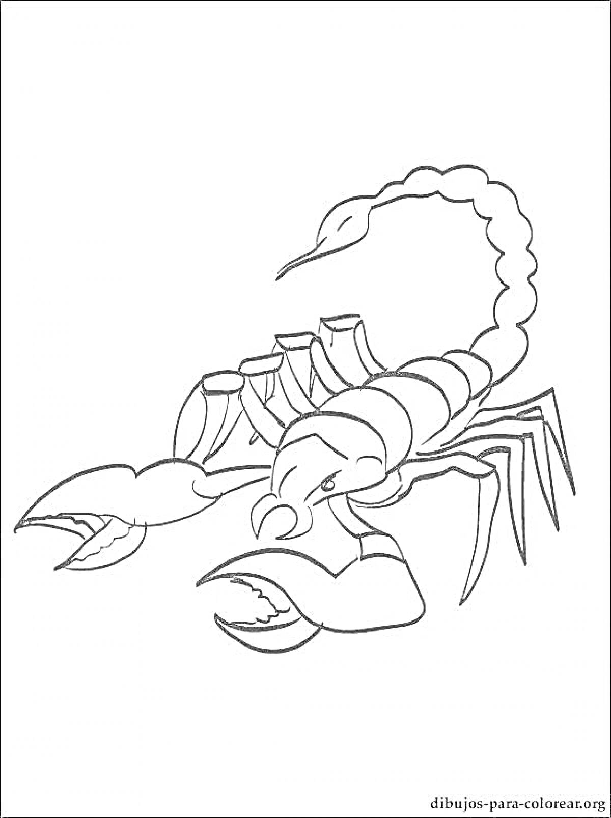 Раскраска Скорпион с поднятым хвостом и клешнями
