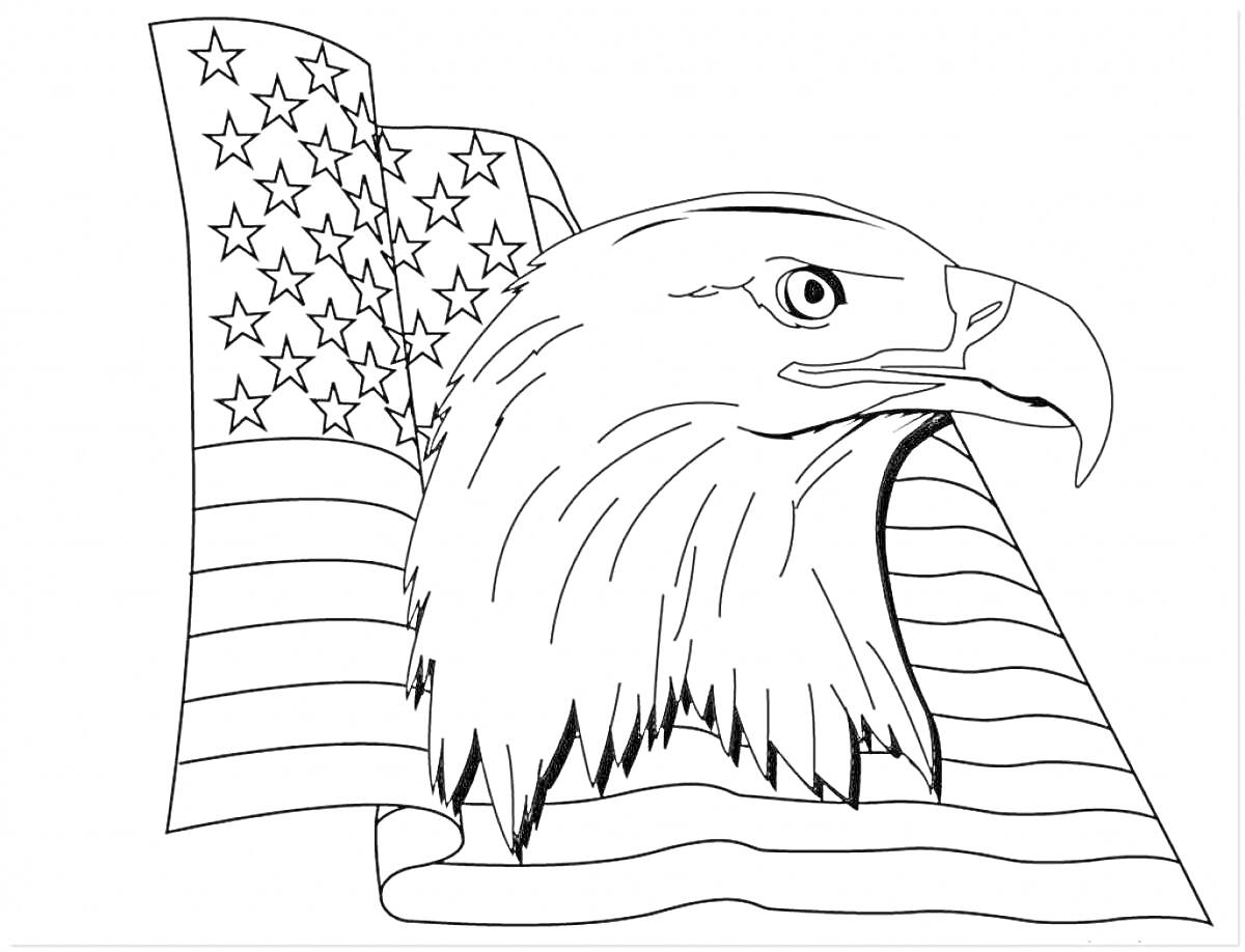 На раскраске изображено: Орел, Американский флаг, Патриотизм, Птица, Графика