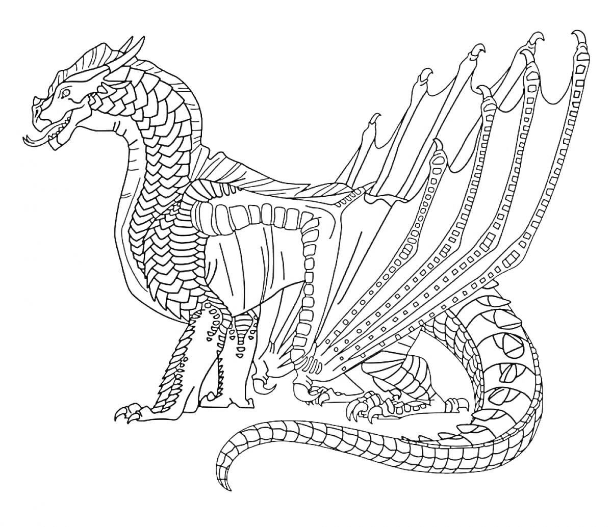 Раскраска Детализированный дракон с чешуей, крыльями и длинным хвостом